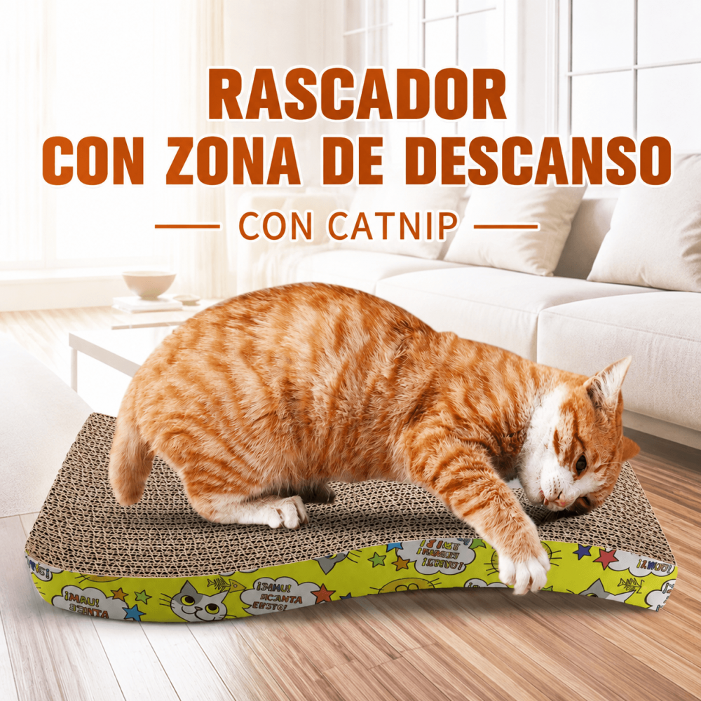 Rascador Curvo de Cartón con Catnip