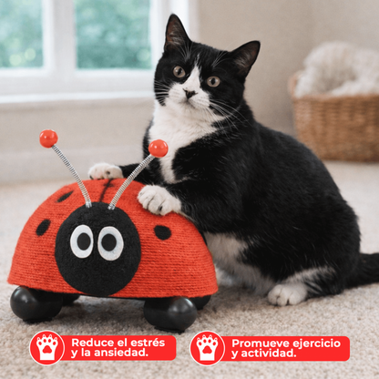 Rascador para Gato Mariquita