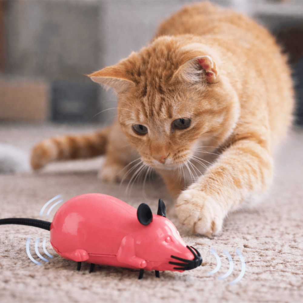 Ratón Robot Interactivo para Gato