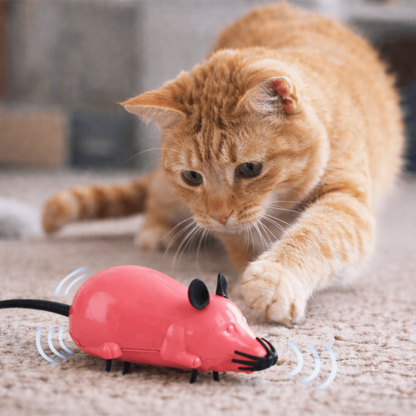 Ratón Robot Interactivo para Gato