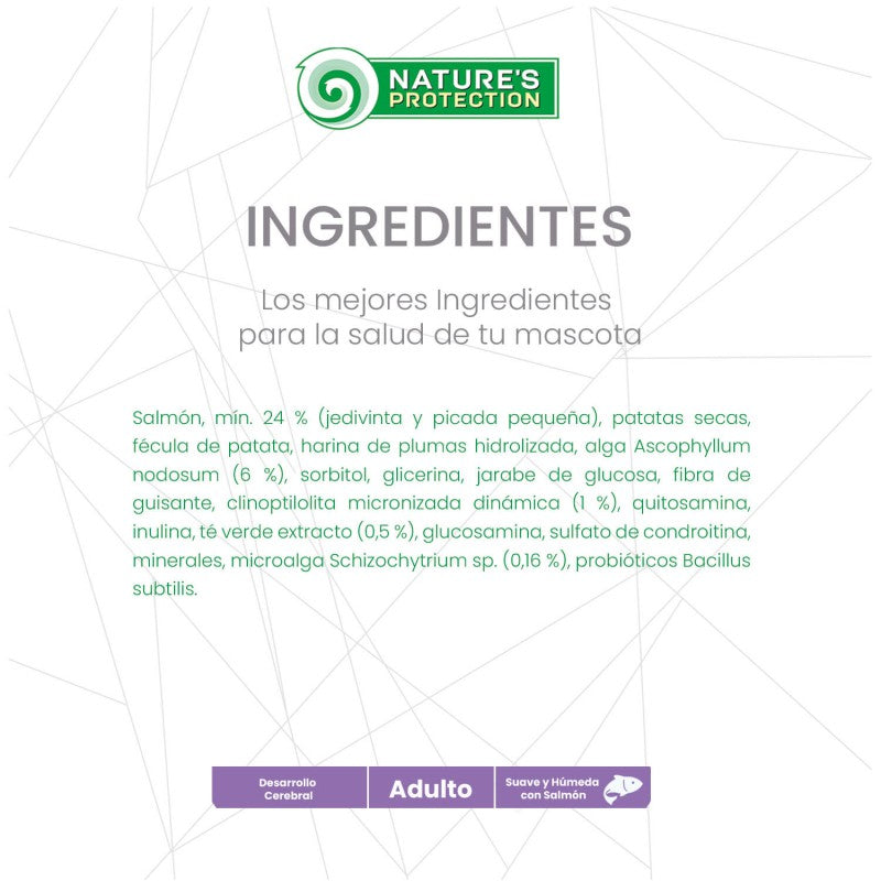 Nature's Protection – Snack Funcional Desarrollo Cerebral