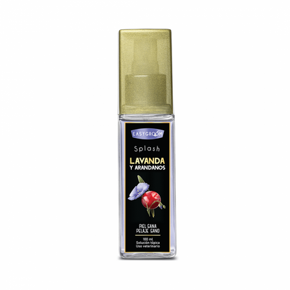 Easygroom – Splash Lavanda y Arándanos