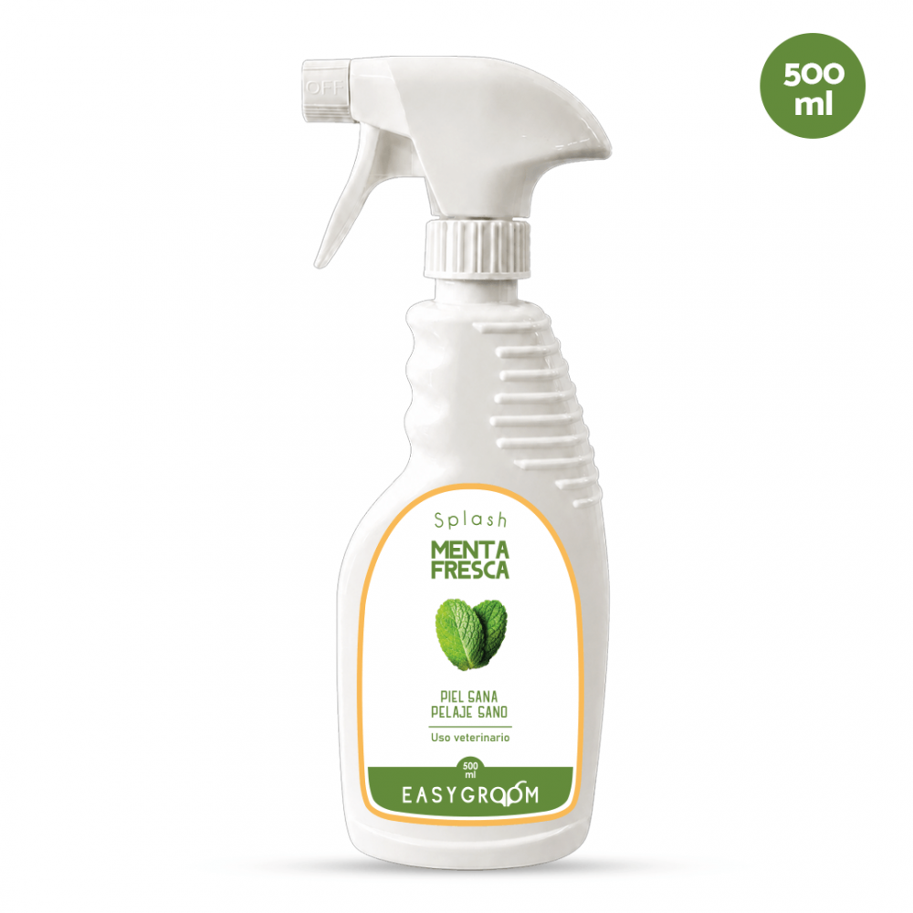 Easygroom – Splash Menta Fresca