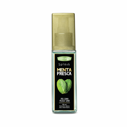 Easygroom – Splash Menta Fresca