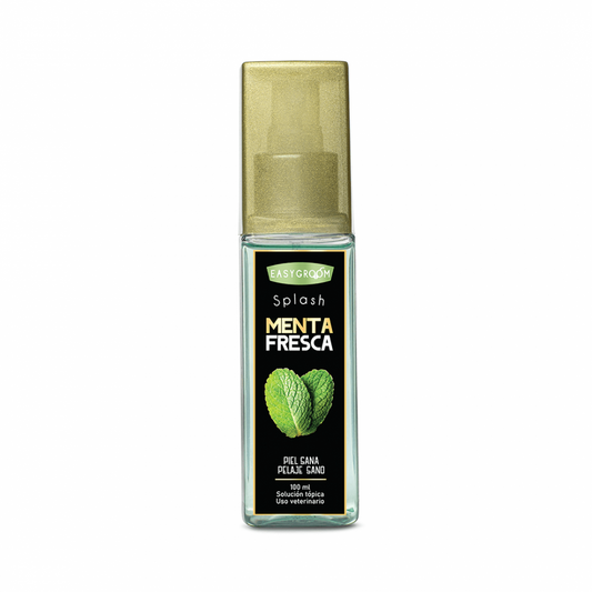 Easygroom – Splash Menta Fresca