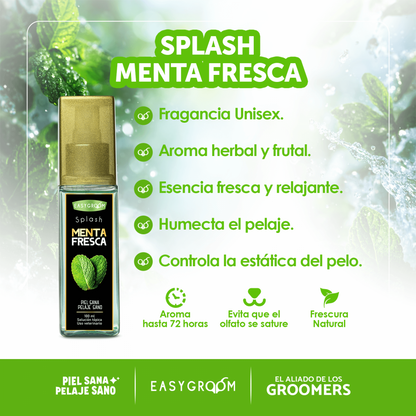Easygroom – Splash Menta Fresca