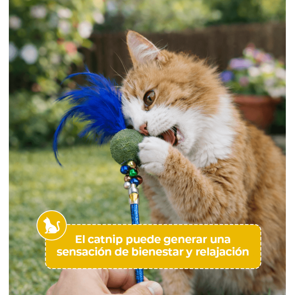 Varita Extensible con Catnip para Gato 75 cm