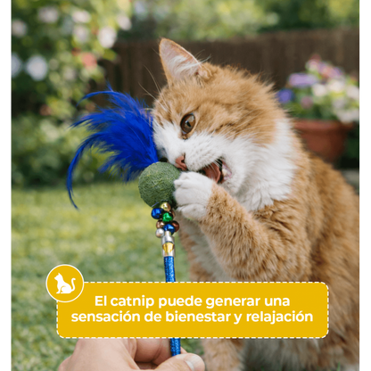 Varita Extensible con Catnip para Gato 75 cm