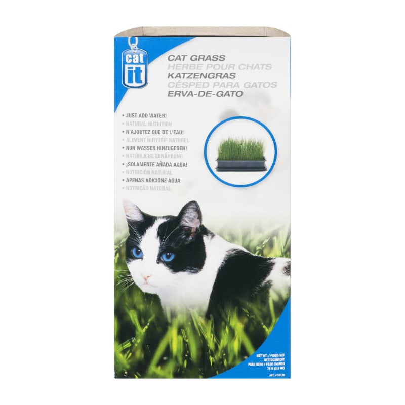 Catit – Zacate para Gato Kit de Cultivo 125 g